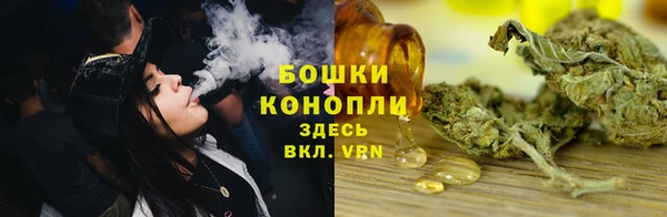 крисы Чегем