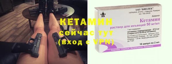 крисы Чегем
