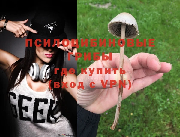 крисы Чегем