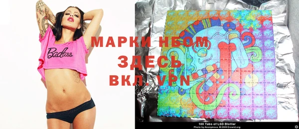 крисы Чегем
