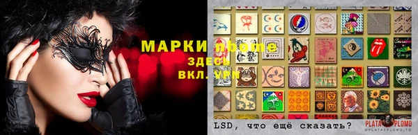 крисы Чегем