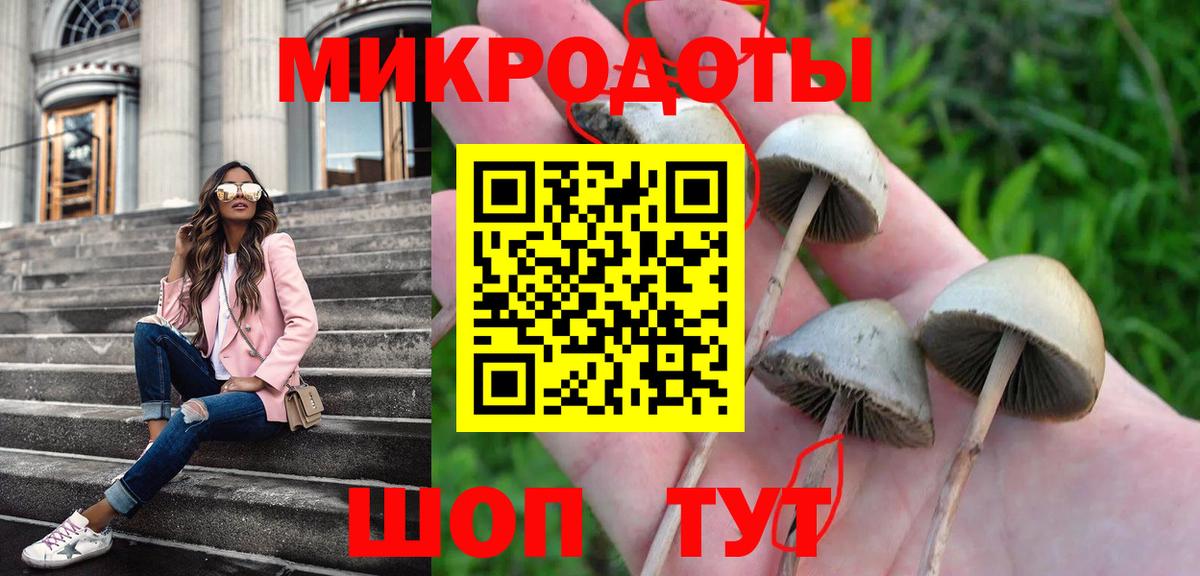 сколько стоит  Вход с VPN  Евпатория  Галлюциногенные грибы GOLDEN TEACHER 